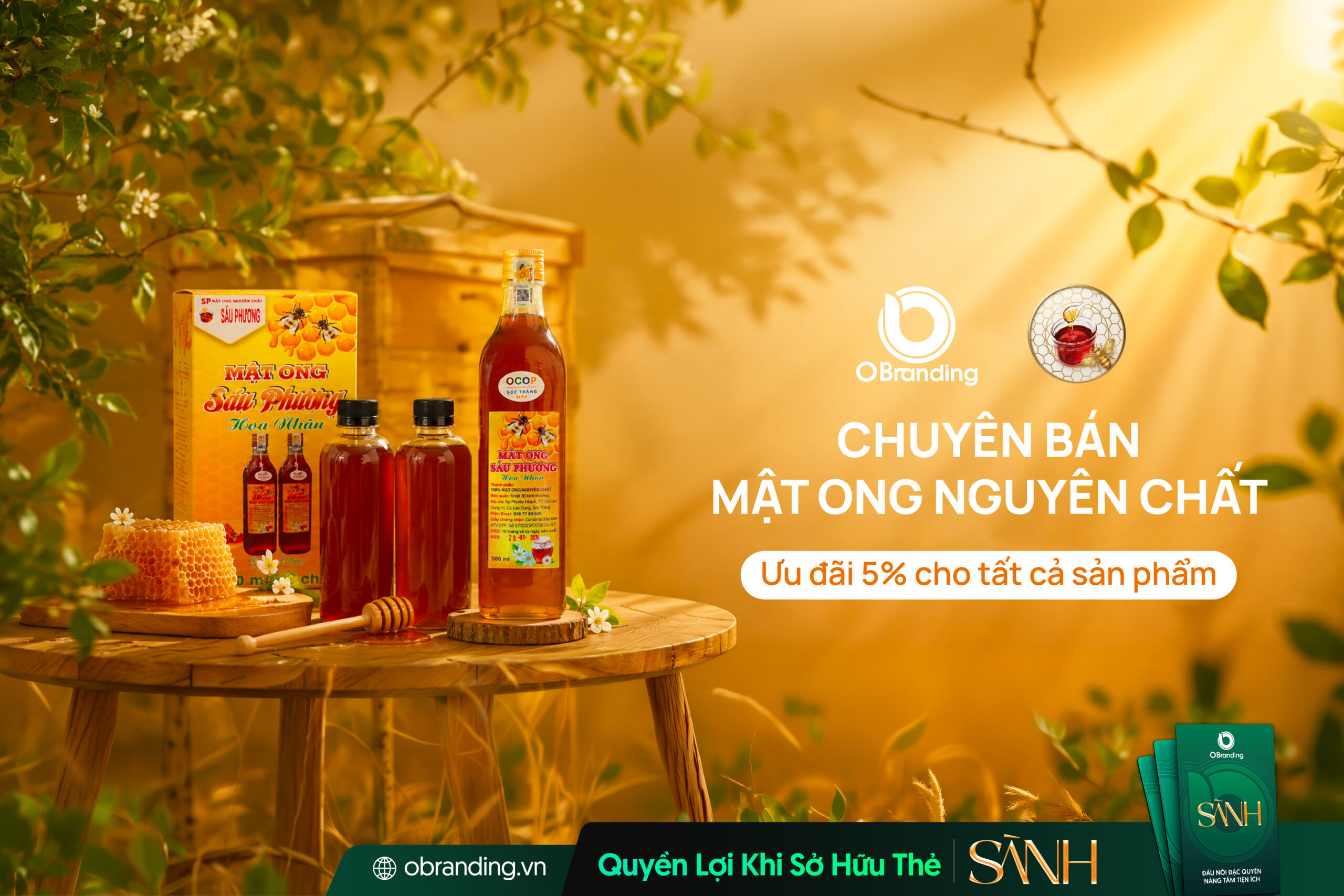 HỘ KINH DOANH MẬT ONG SÁU PHƯƠNG