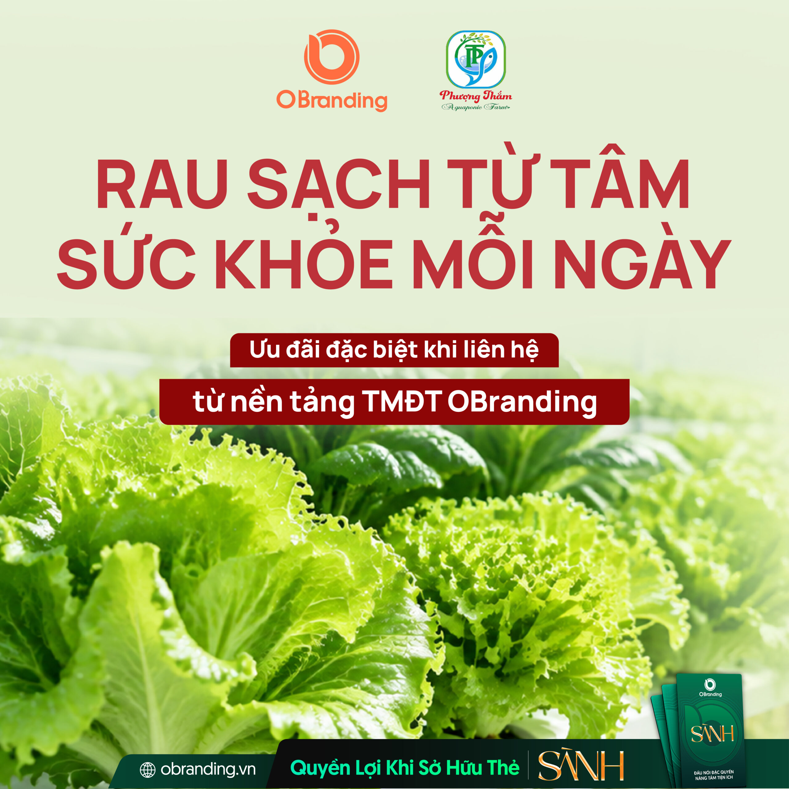 HỘ KINH DOANH PHƯỢNG THẮM AQUAPONIC FARM