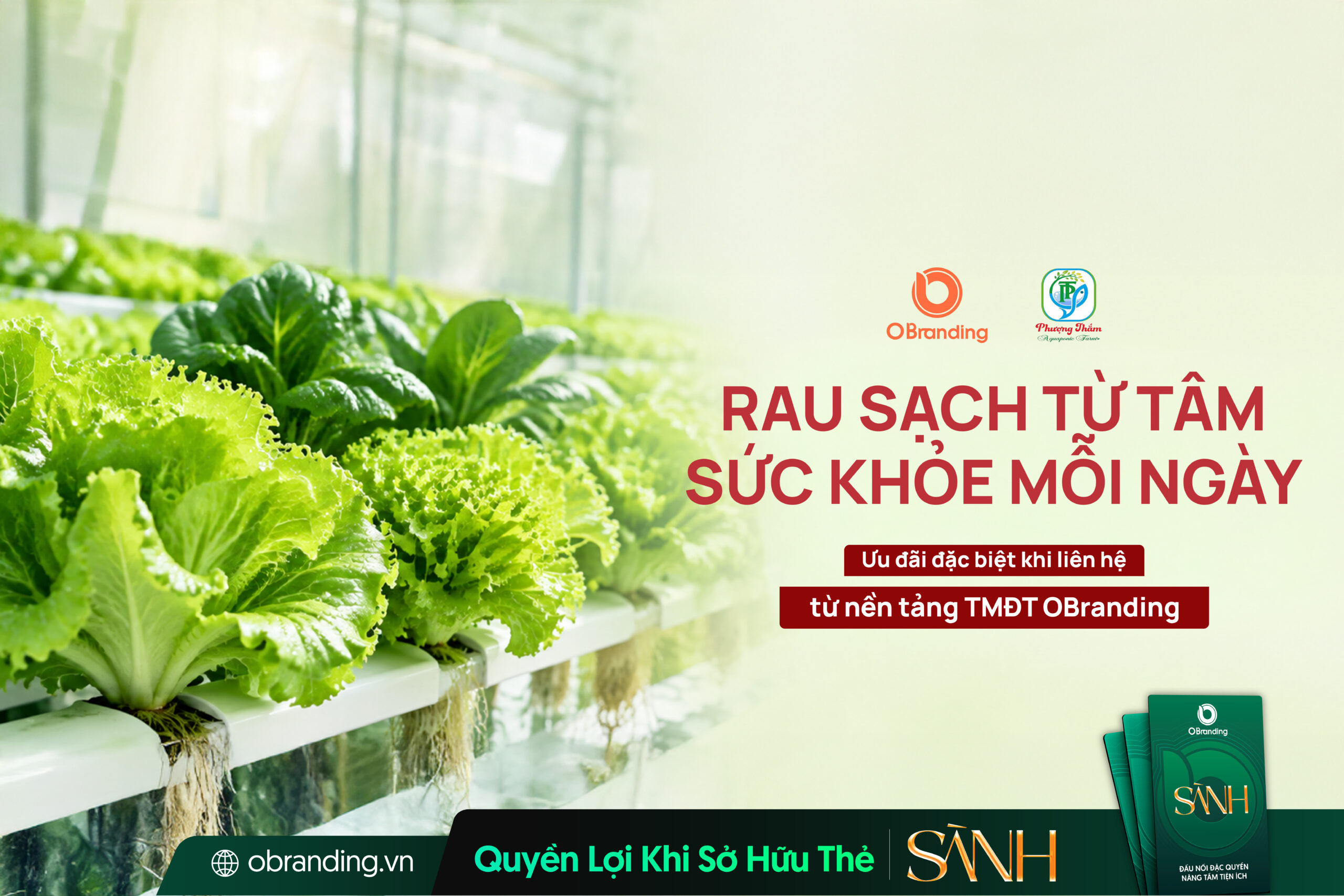 HỘ KINH DOANH PHƯỢNG THẮM AQUAPONIC FARM