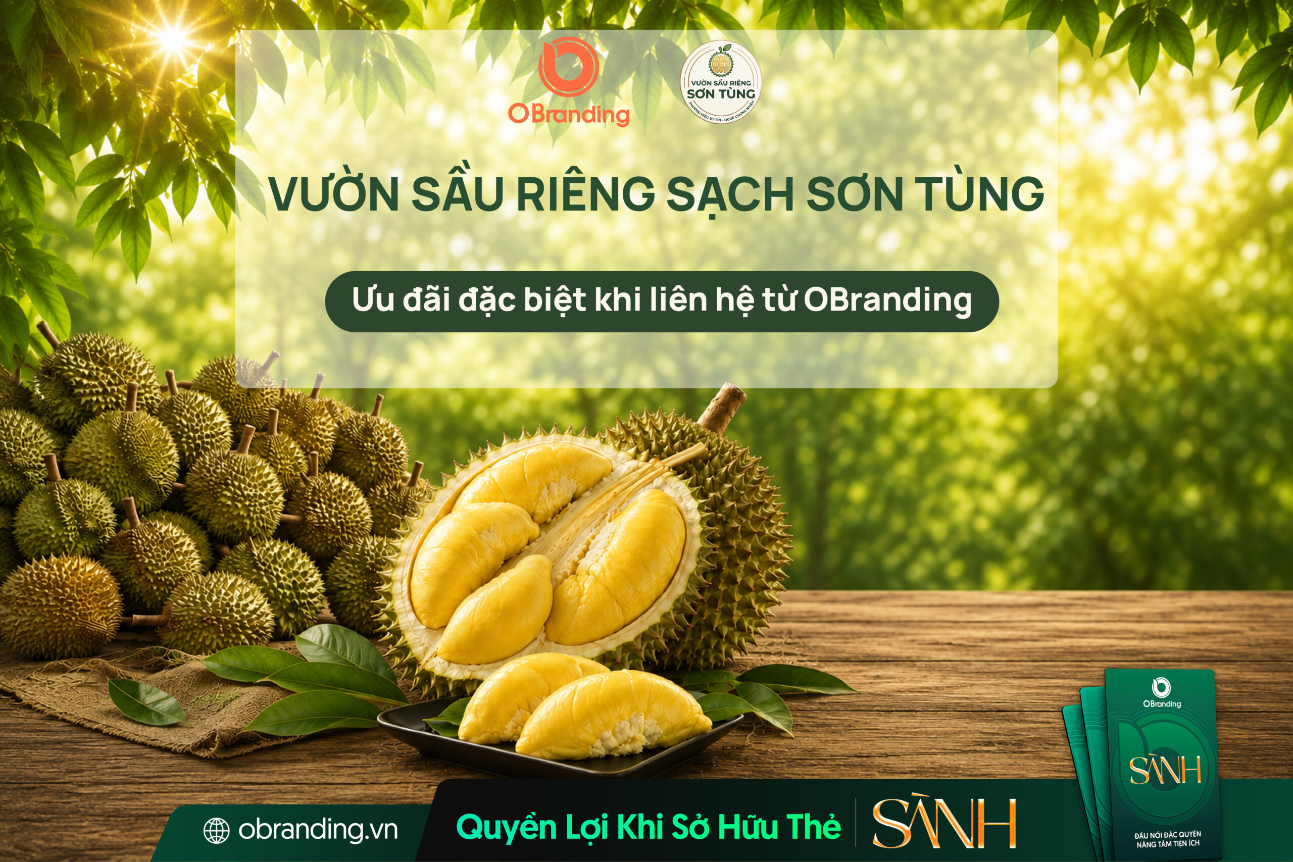 vườn sầu riêng sơn tùng