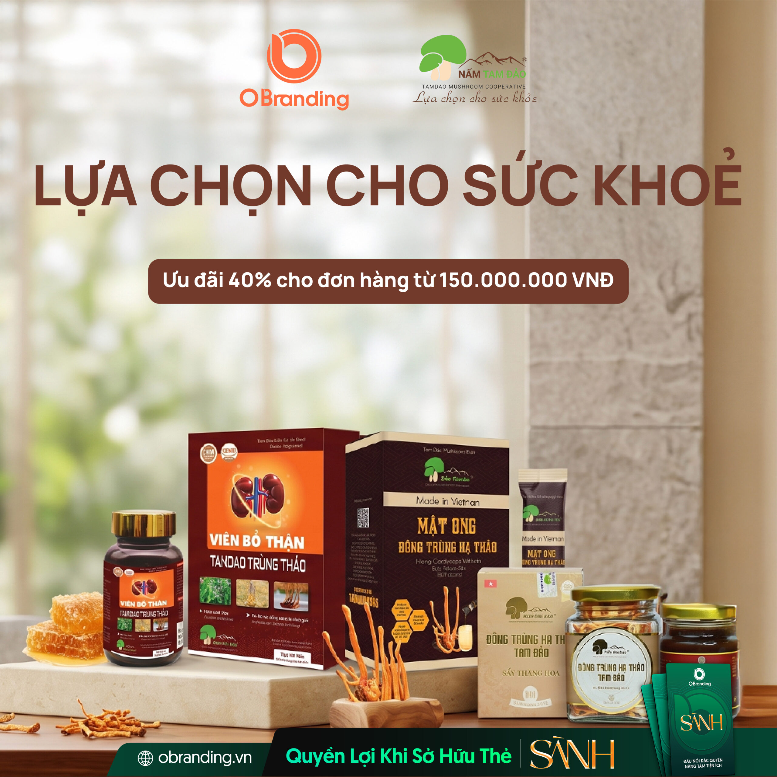 HỢP TÁC XÃ NẤM TAM ĐẢO