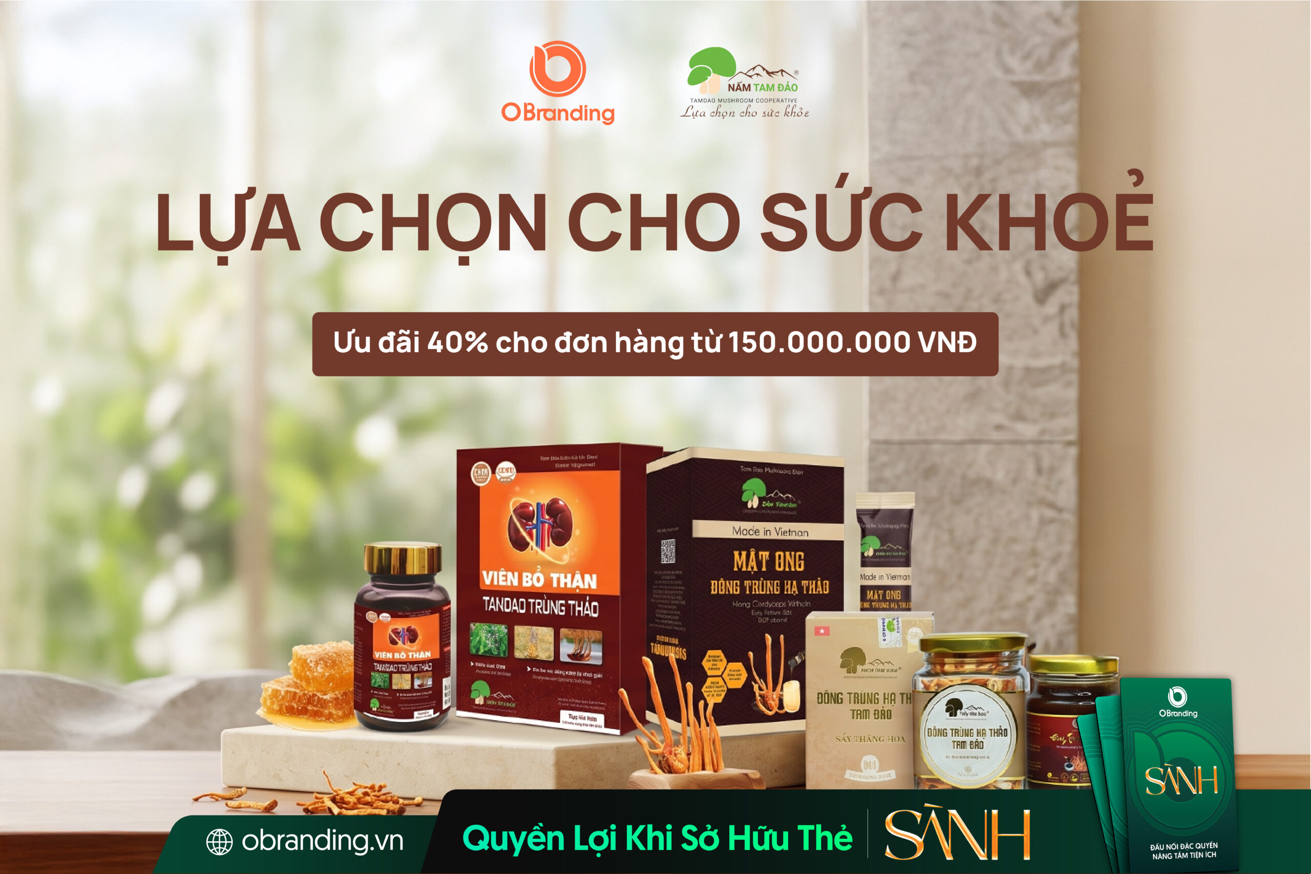 HỢP TÁC XÃ NẤM TAM ĐẢO