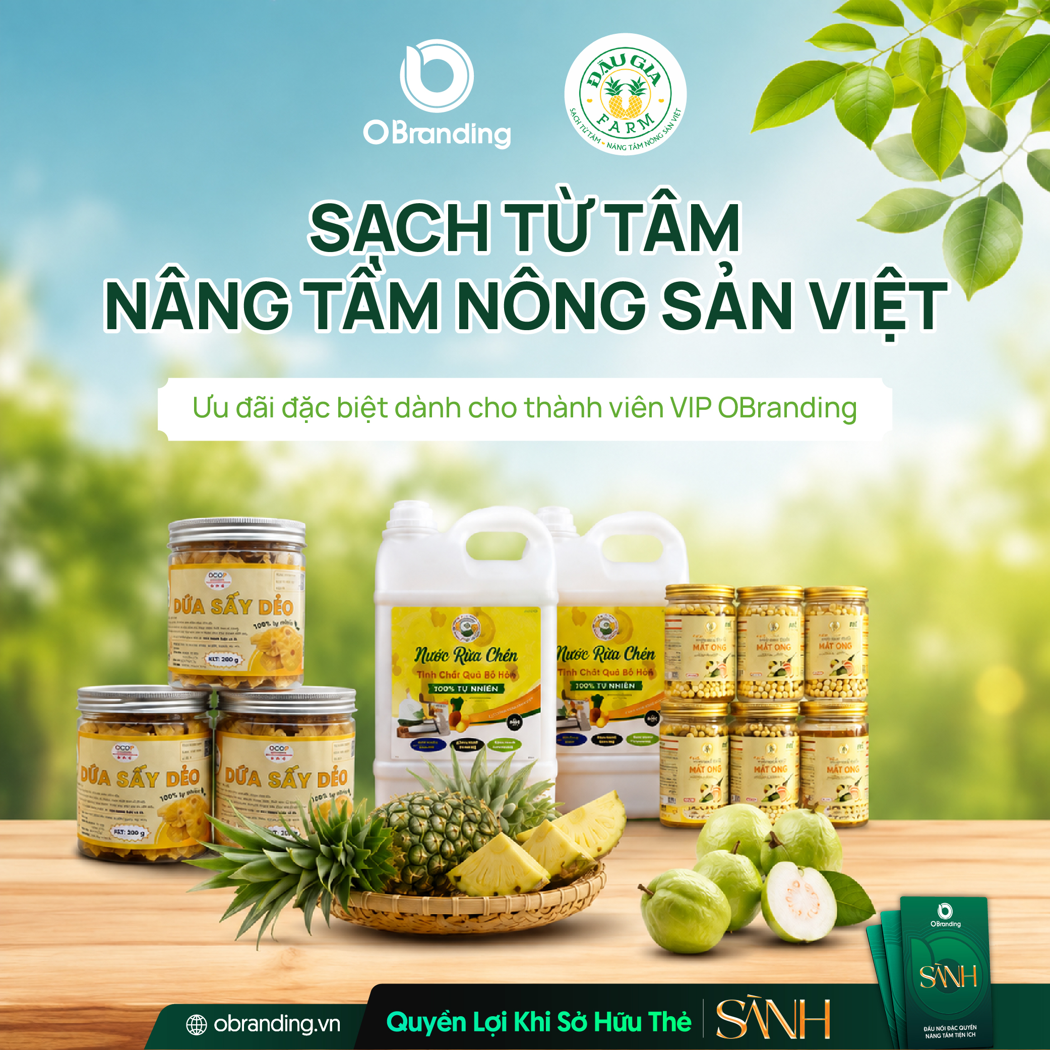 HỢP TÁC XÃ NÔNG SẢN AE TA