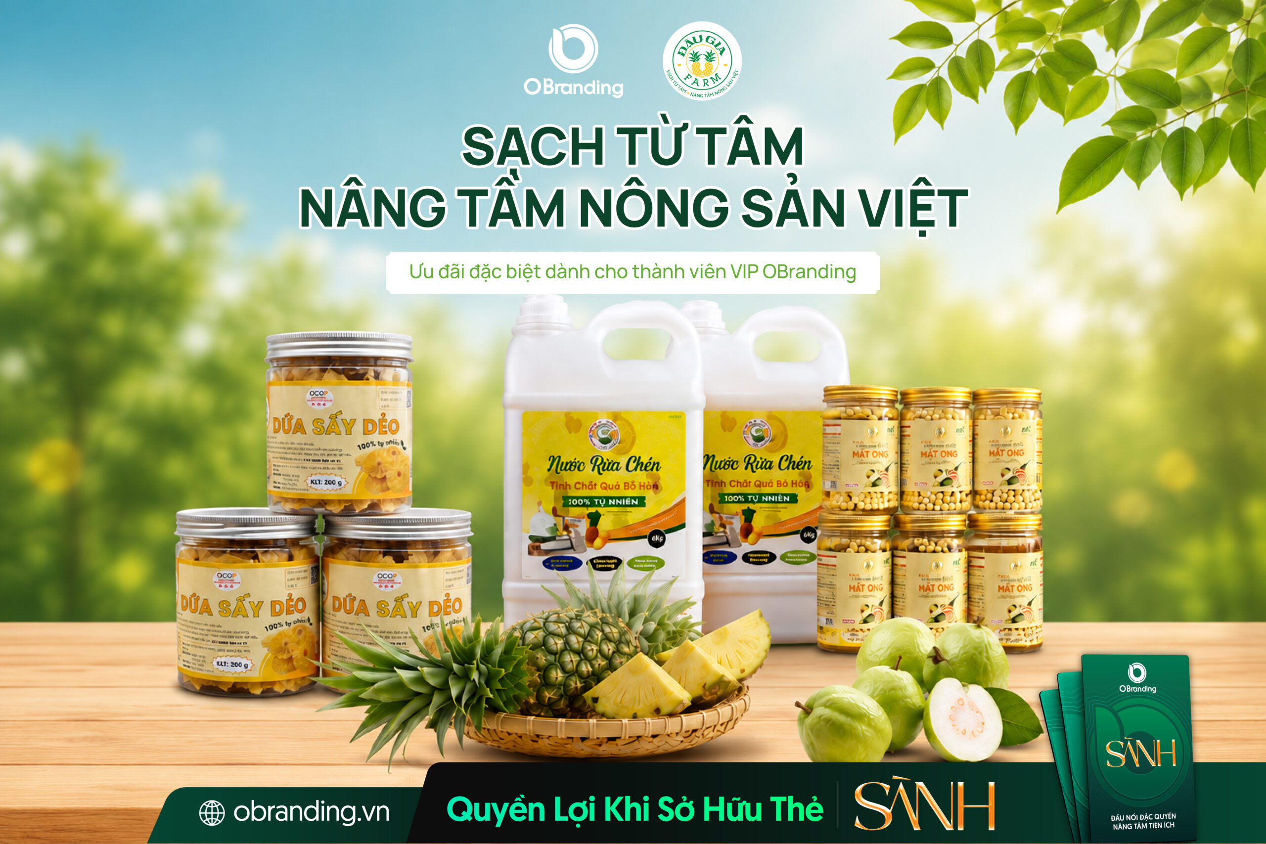 HỢP TÁC XÃ NÔNG SẢN AE TA