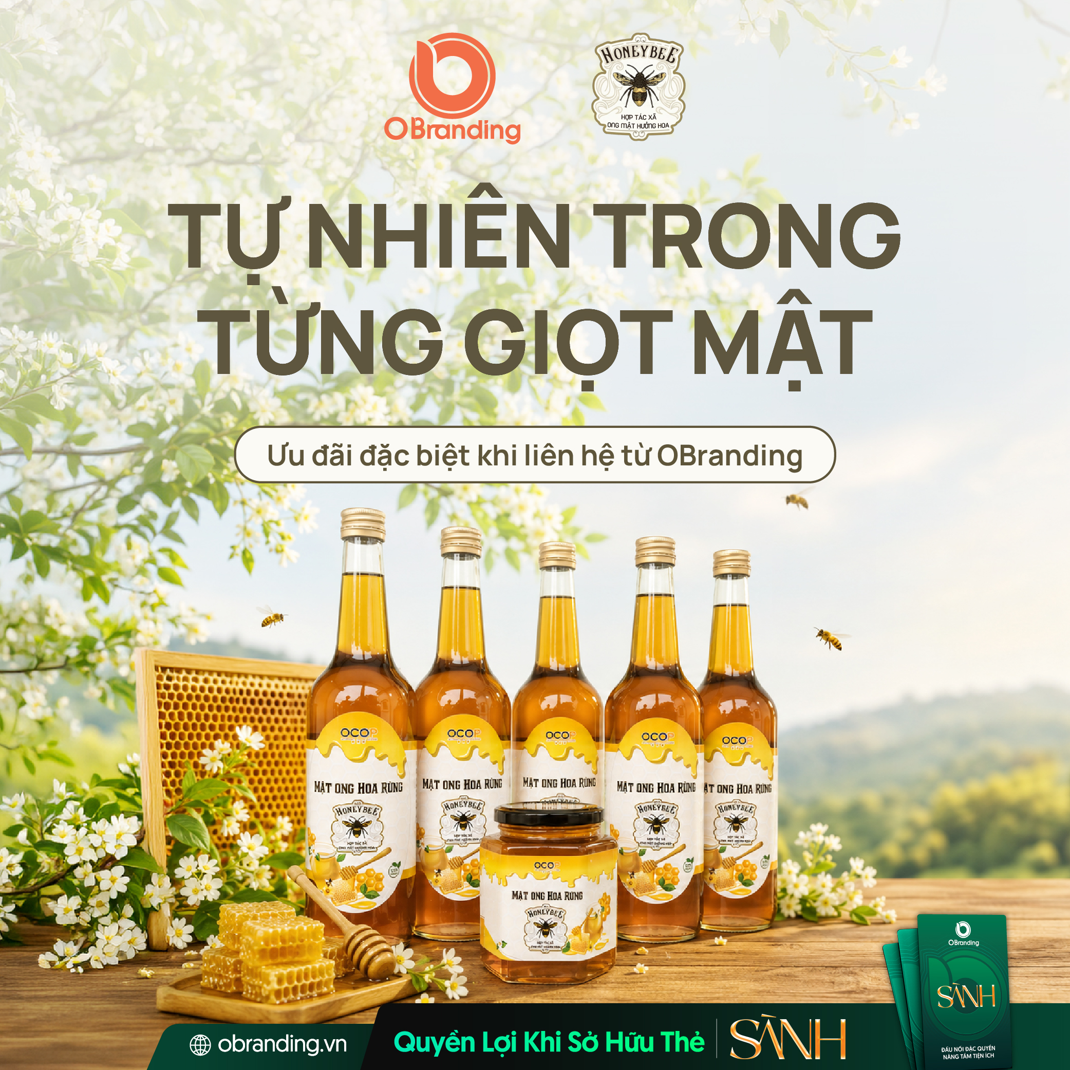 HỢP TÁC XÃ ONG MẬT HƯỞNG HOA