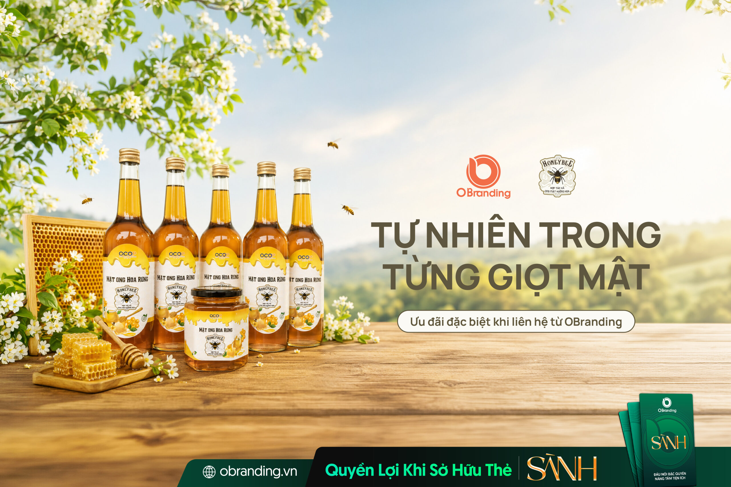 HỢP TÁC XÃ ONG MẬT HƯỞNG HOA