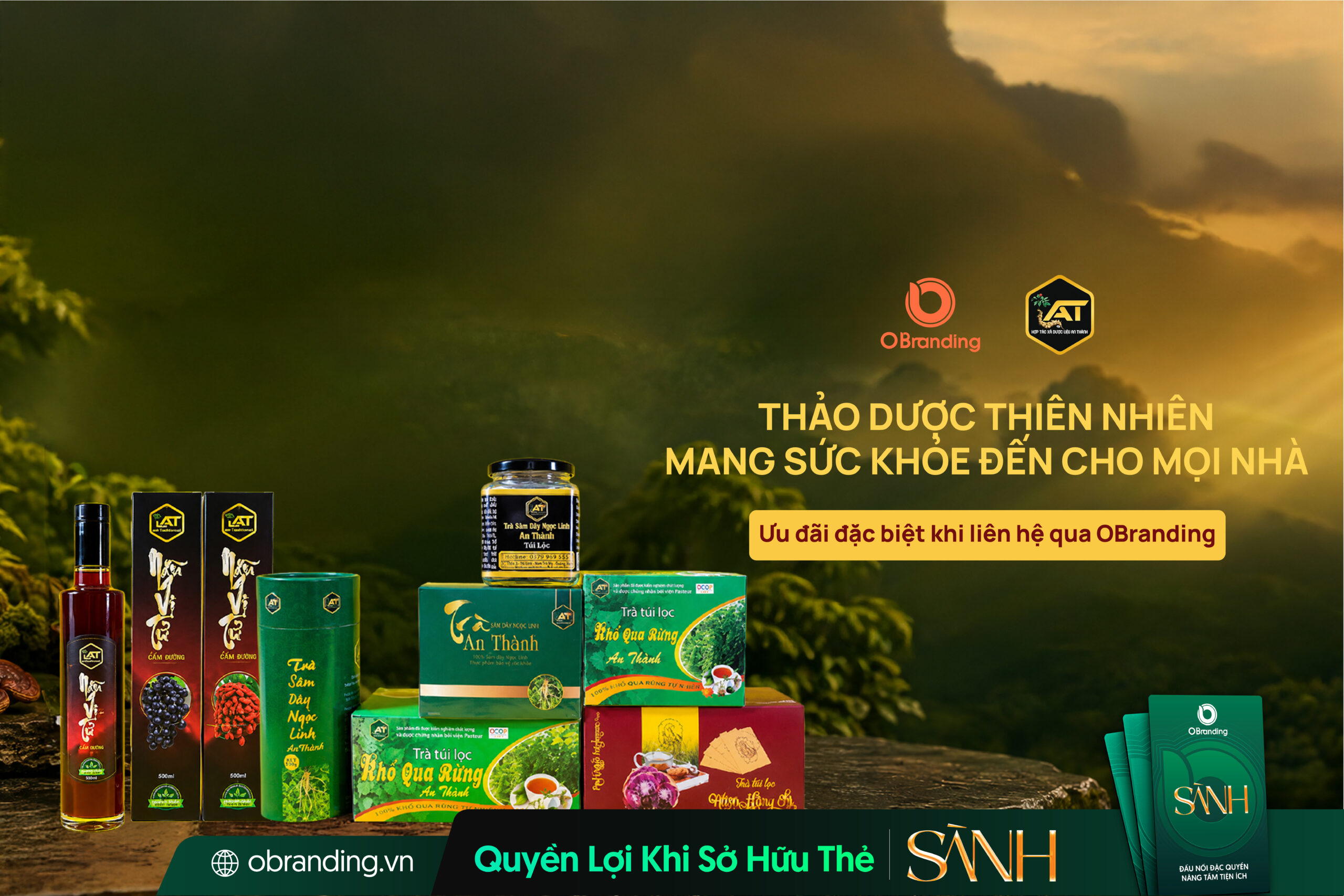 An Thành - Trà thảo dược từ dược liệu địa phương