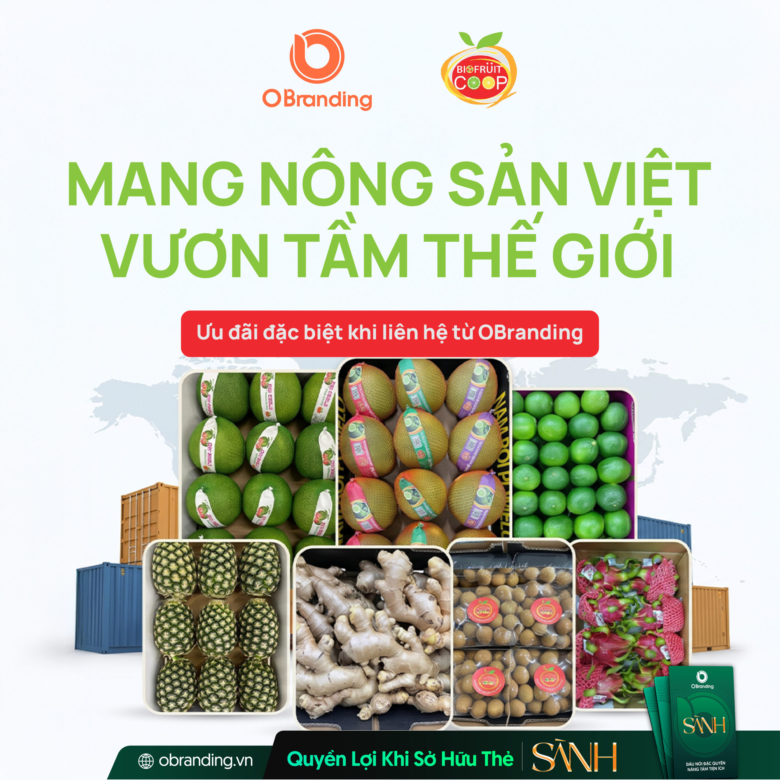 HỢP TÁC XÃ TRÁI CÂY SINH HỌC OCOP