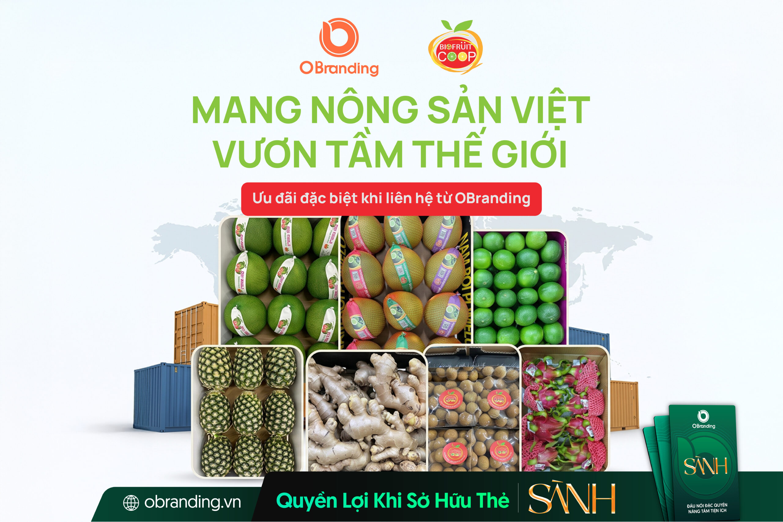 HỢP TÁC XÃ TRÁI CÂY SINH HỌC OCOP
