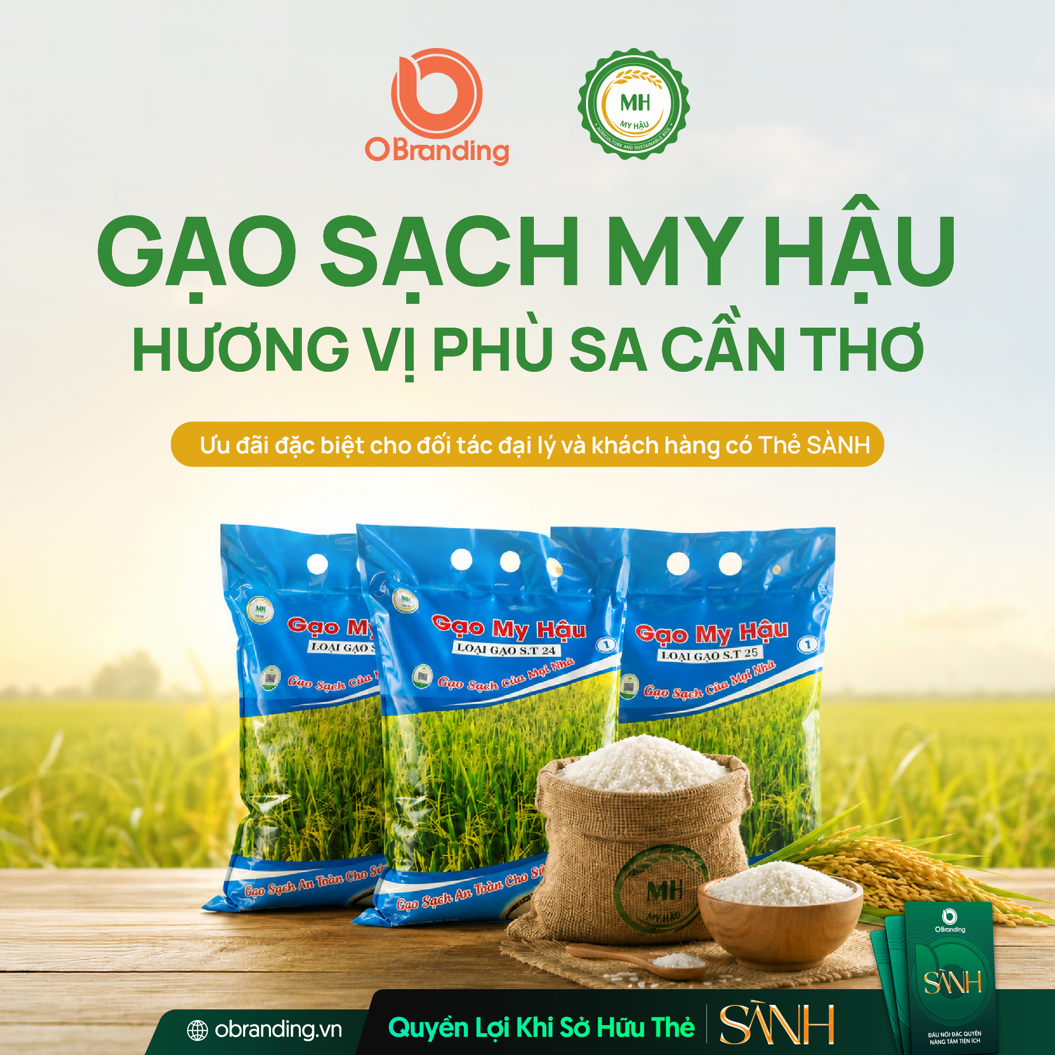 HỢP TÁC XÃ TRỒNG LÚA SẠCH MY HẬU