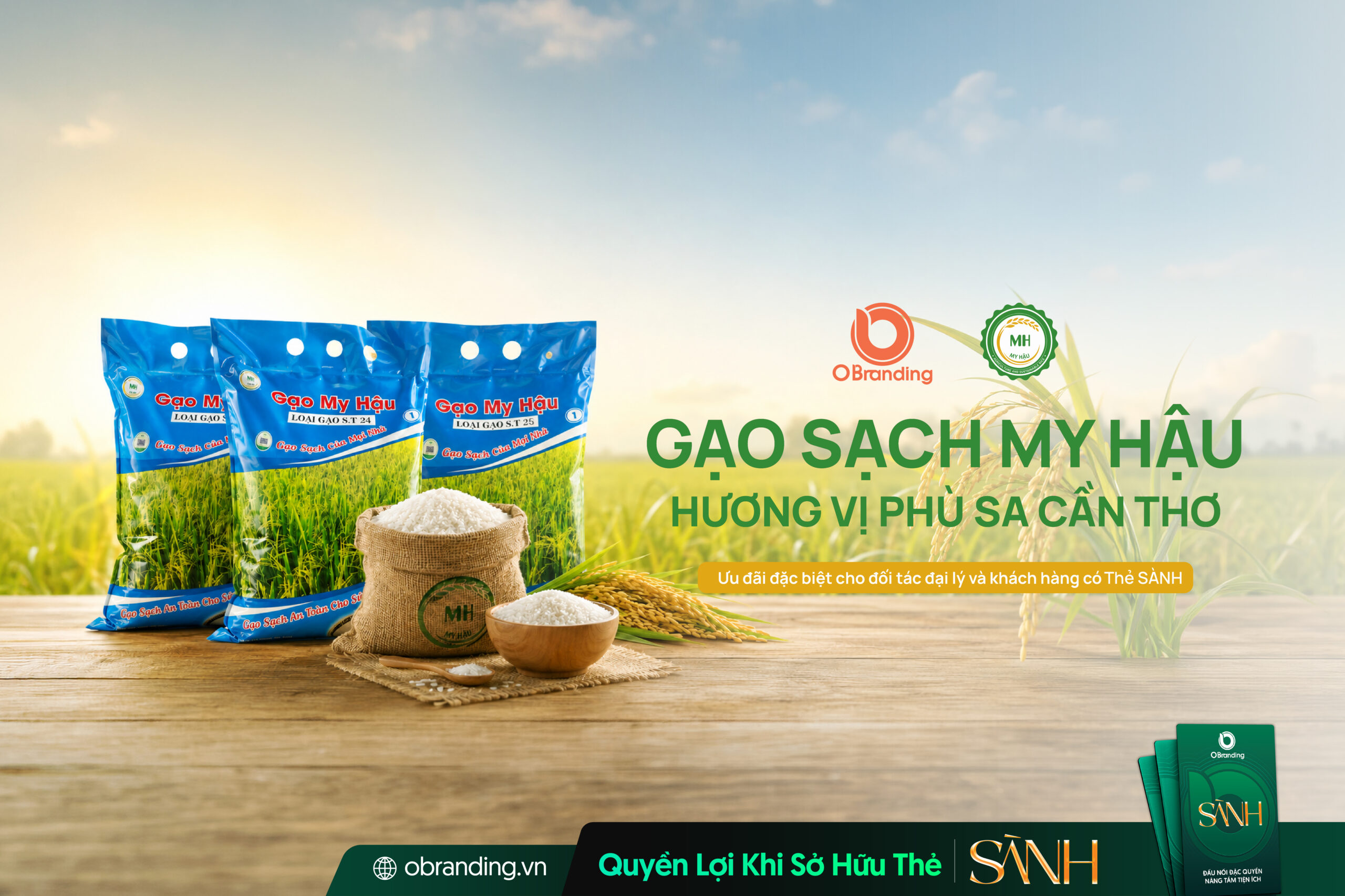 HỢP TÁC XÃ TRỒNG LÚA SẠCH MY HẬU