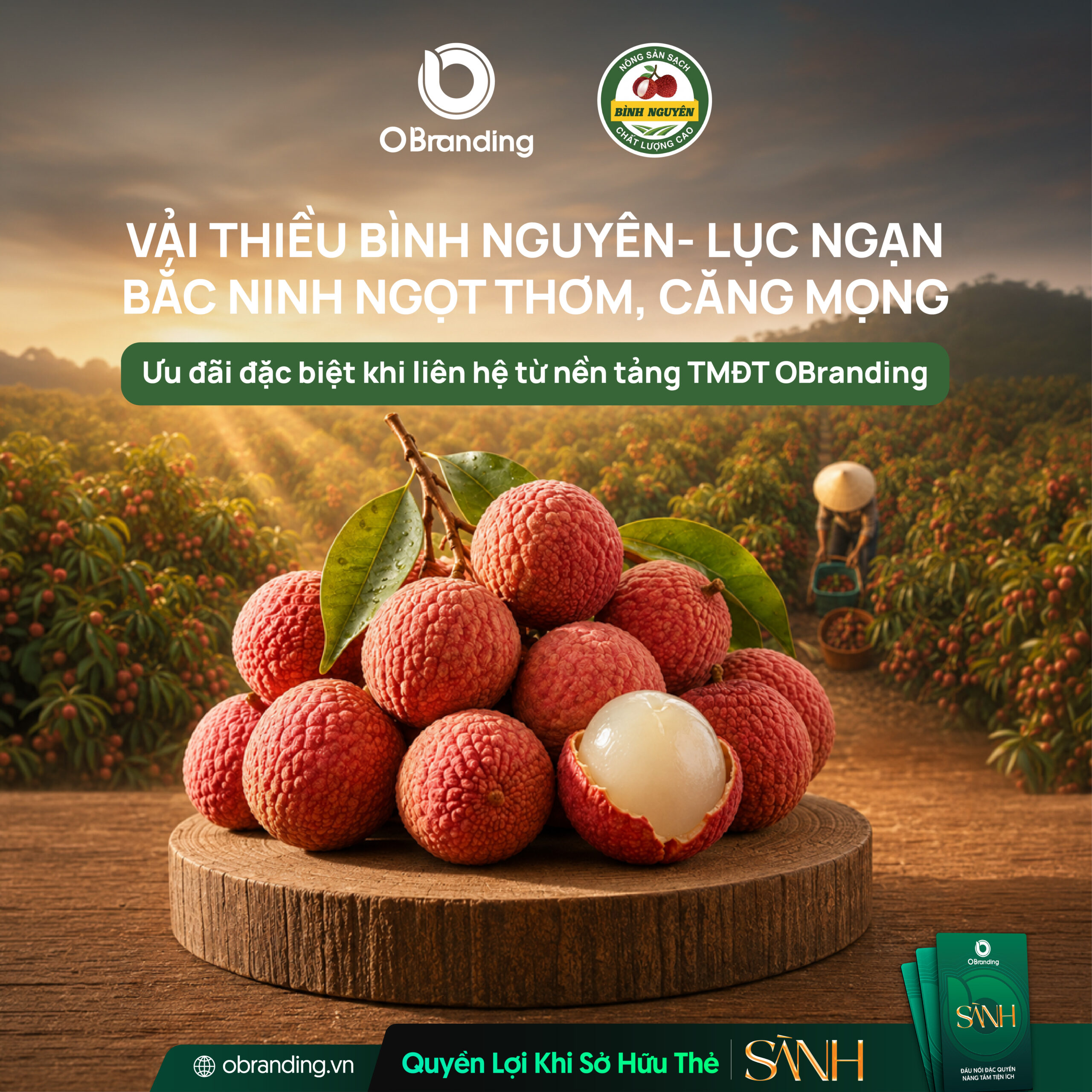 HỢP TÁC XÃ NÔNG SẢN SẠCH BÌNH NGUYÊN