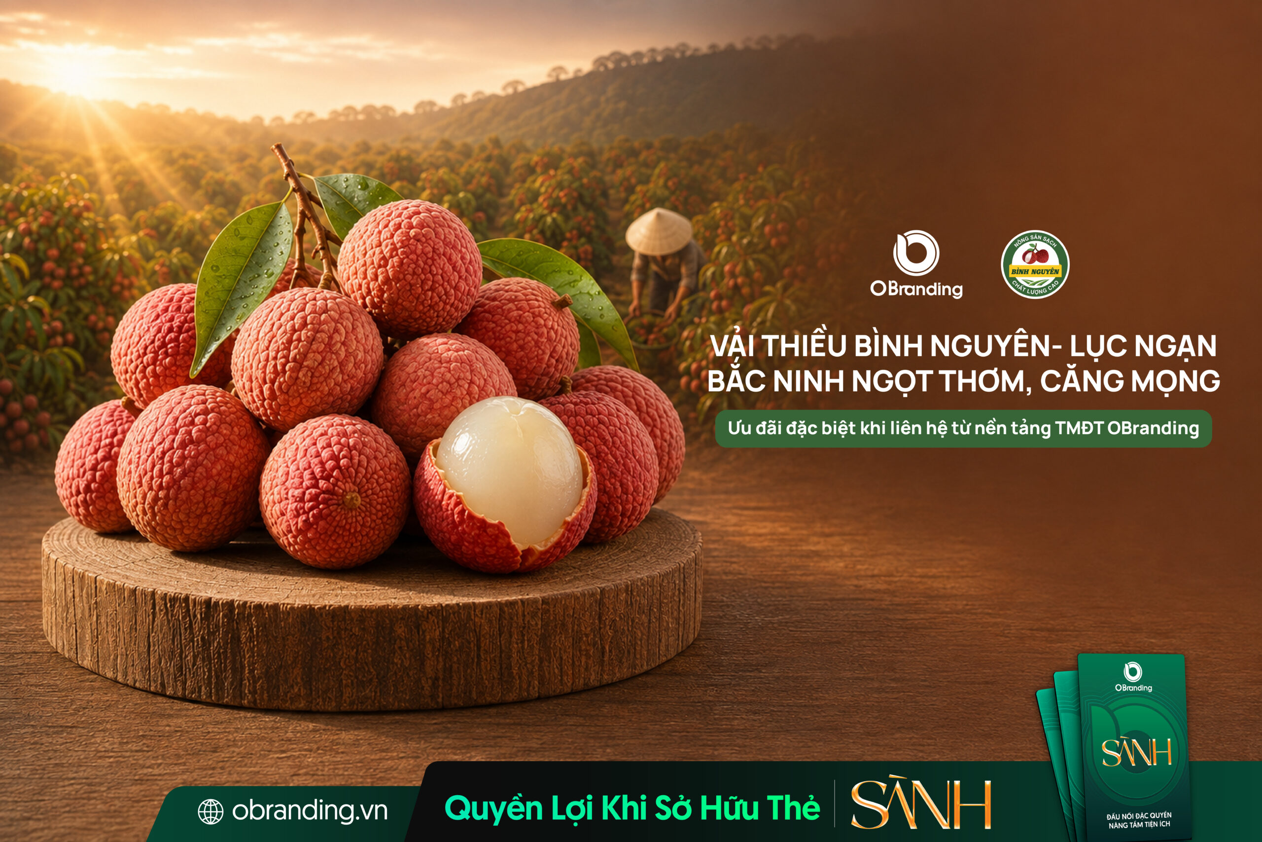 HỢP TÁC XÃ NÔNG SẢN SẠCH BÌNH NGUYÊN
