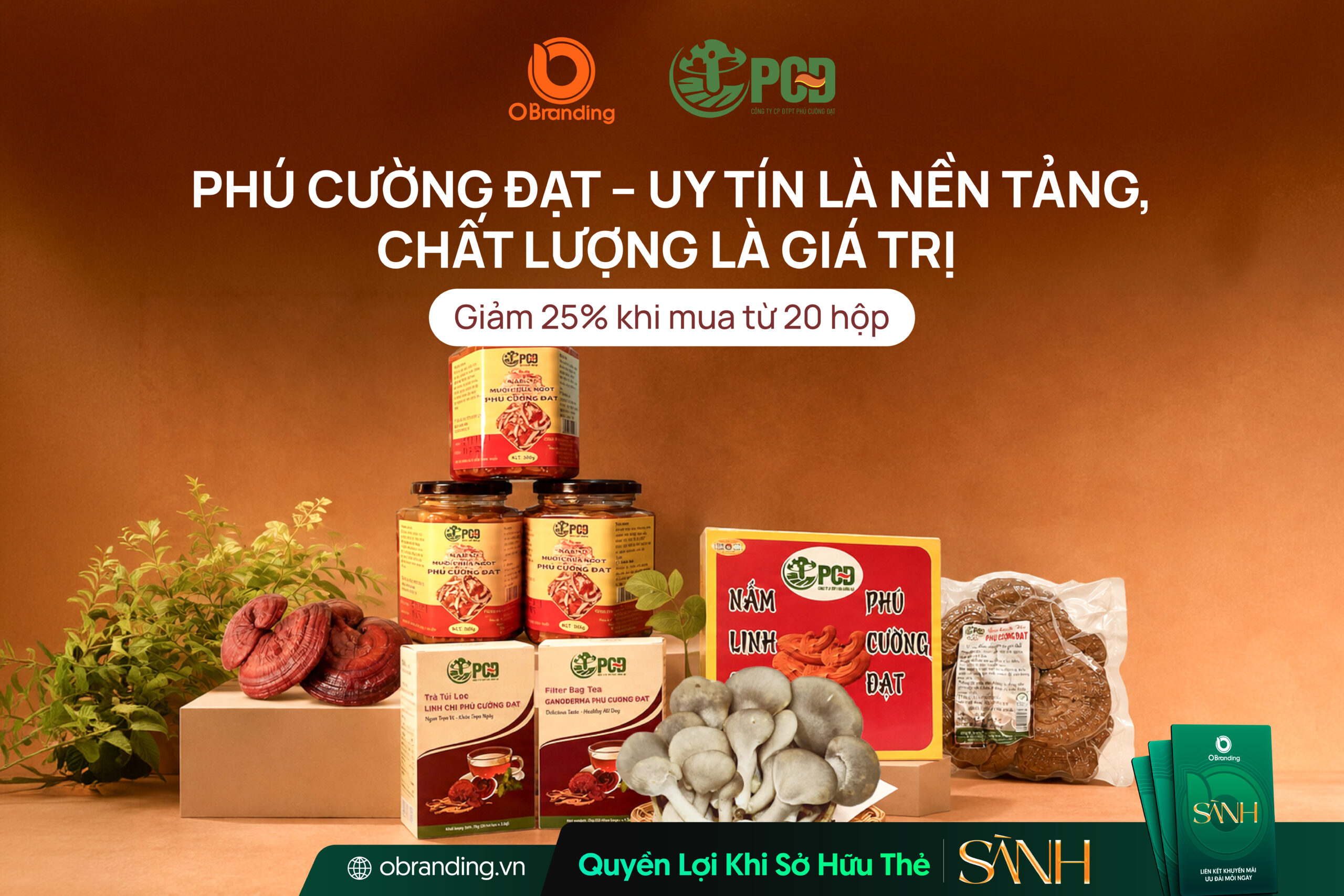 PHÚ CƯỜNG ĐẠT-04