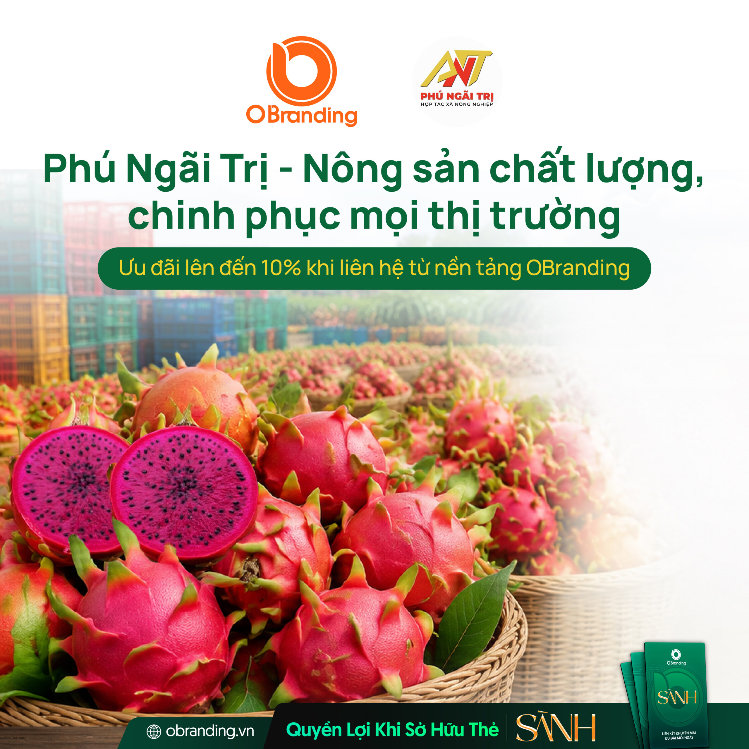 PHÚ NGÃI TRỊ