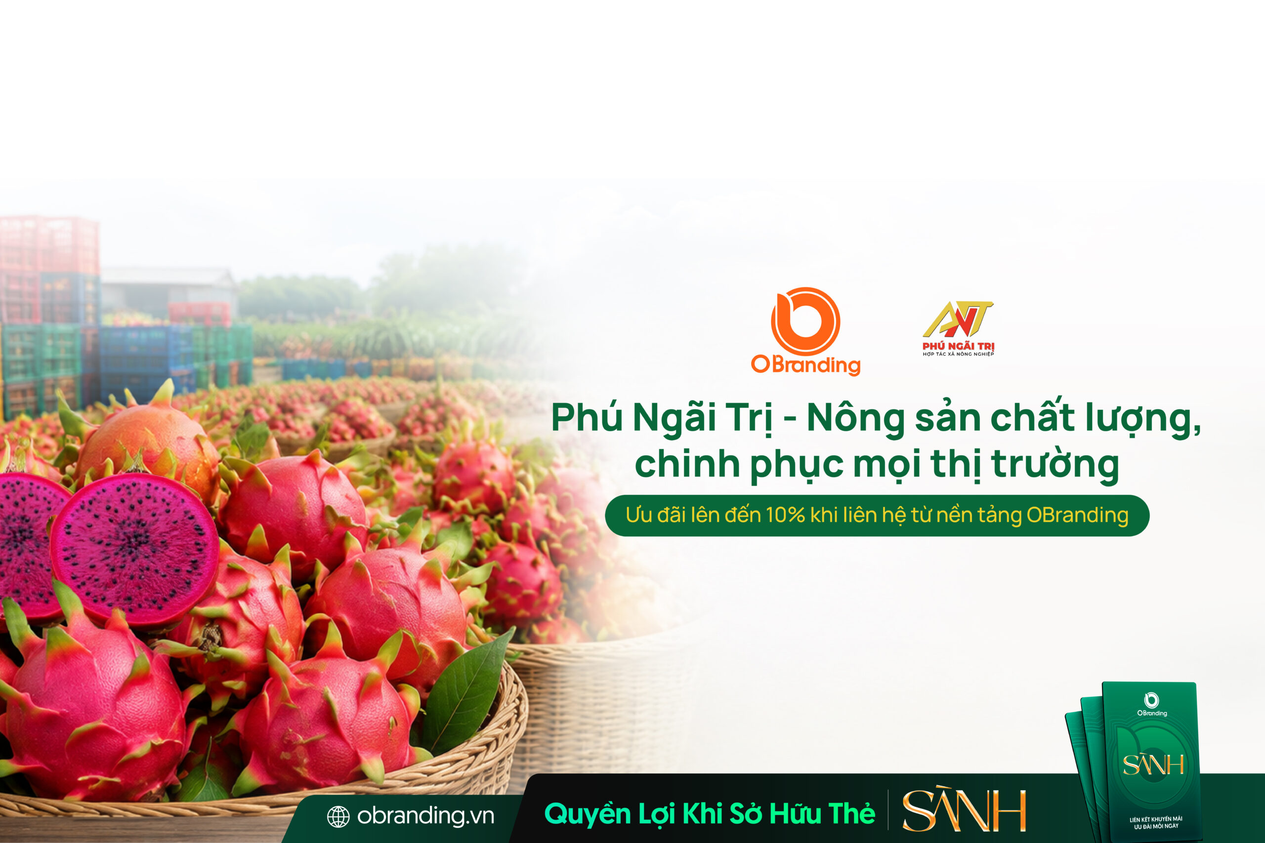 PHÚ NGÃI TRỊ
