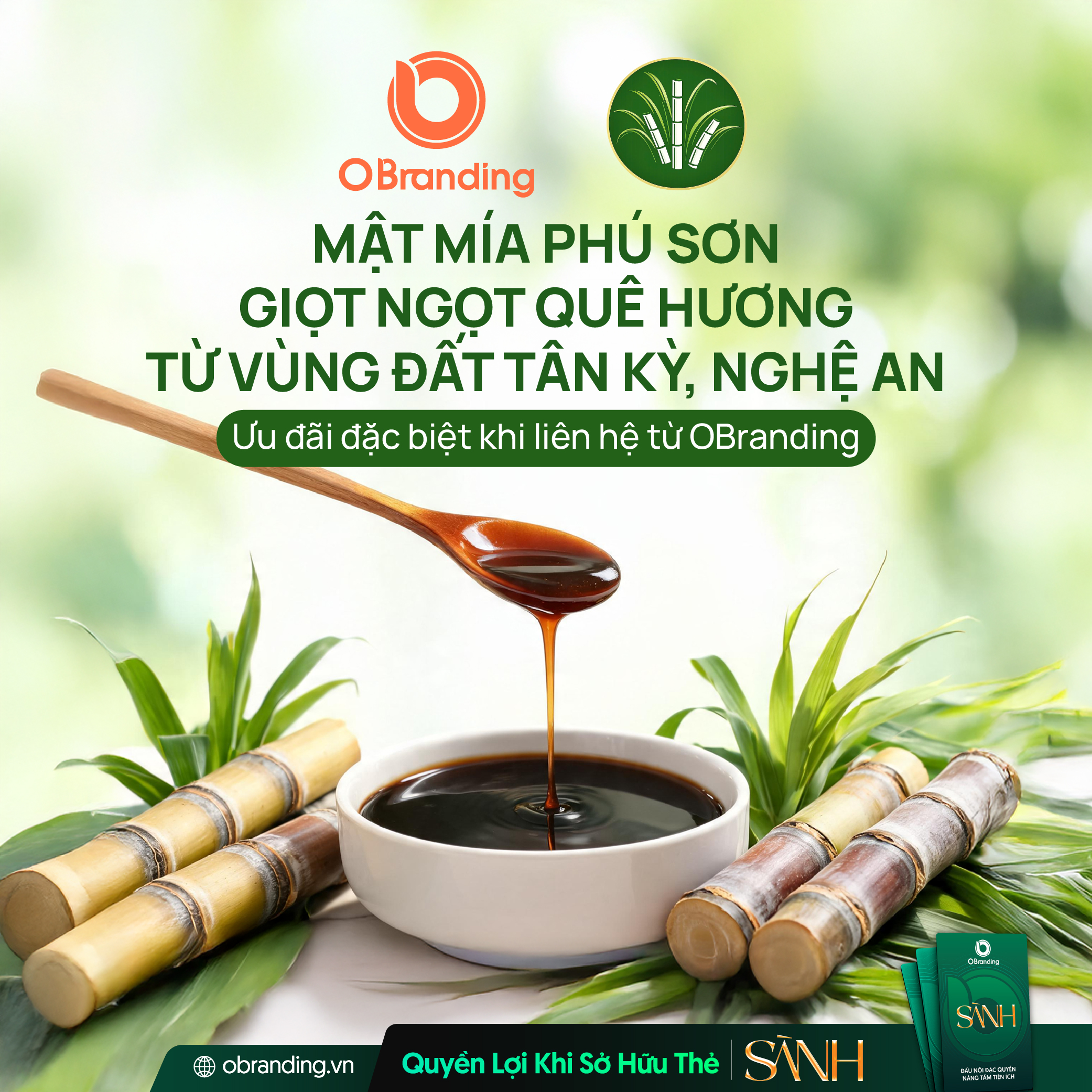 TỔ HỢP TÁC MẬT MÍA PHÚ SƠN