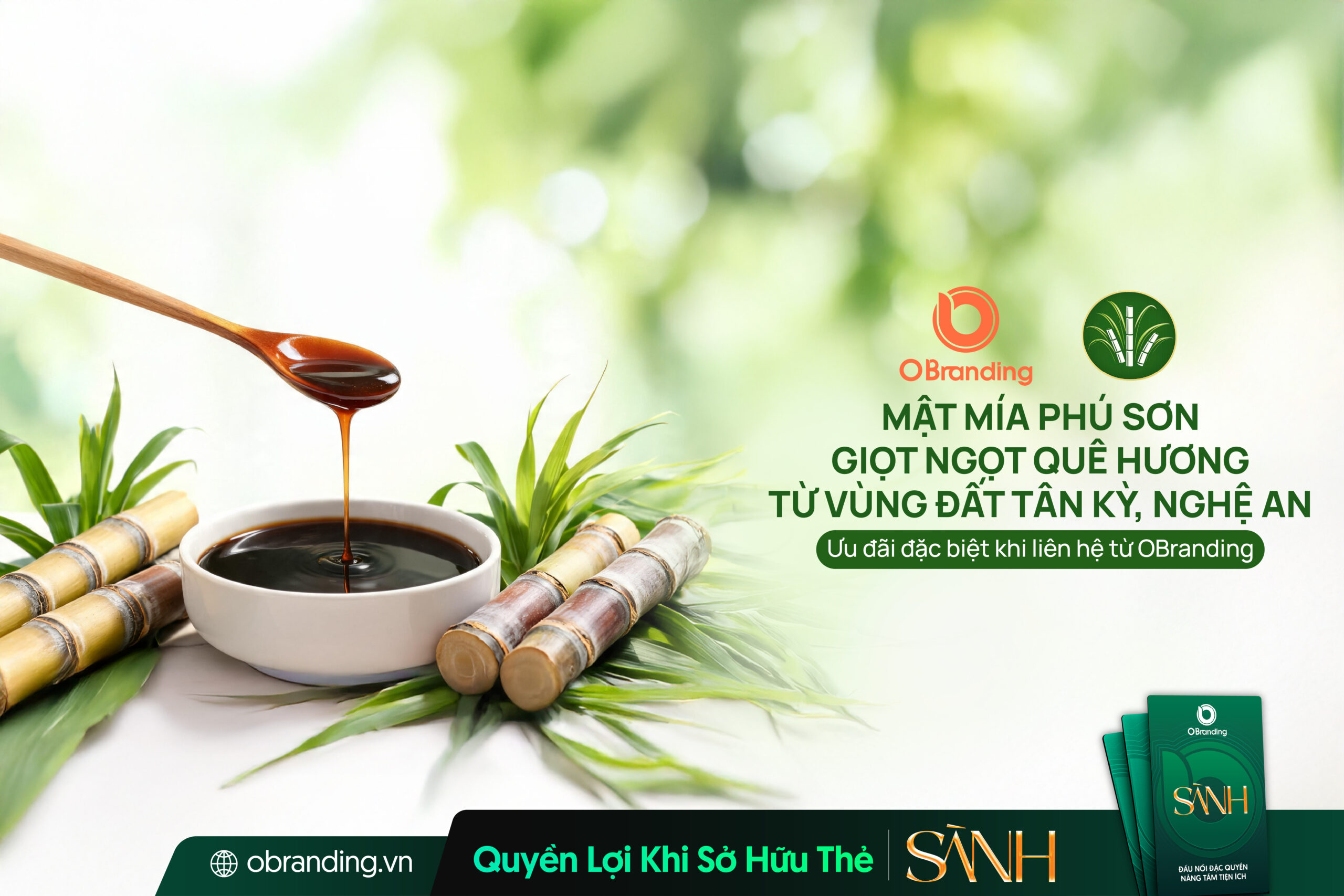 TỔ HỢP TÁC MẬT MÍA PHÚ SƠN