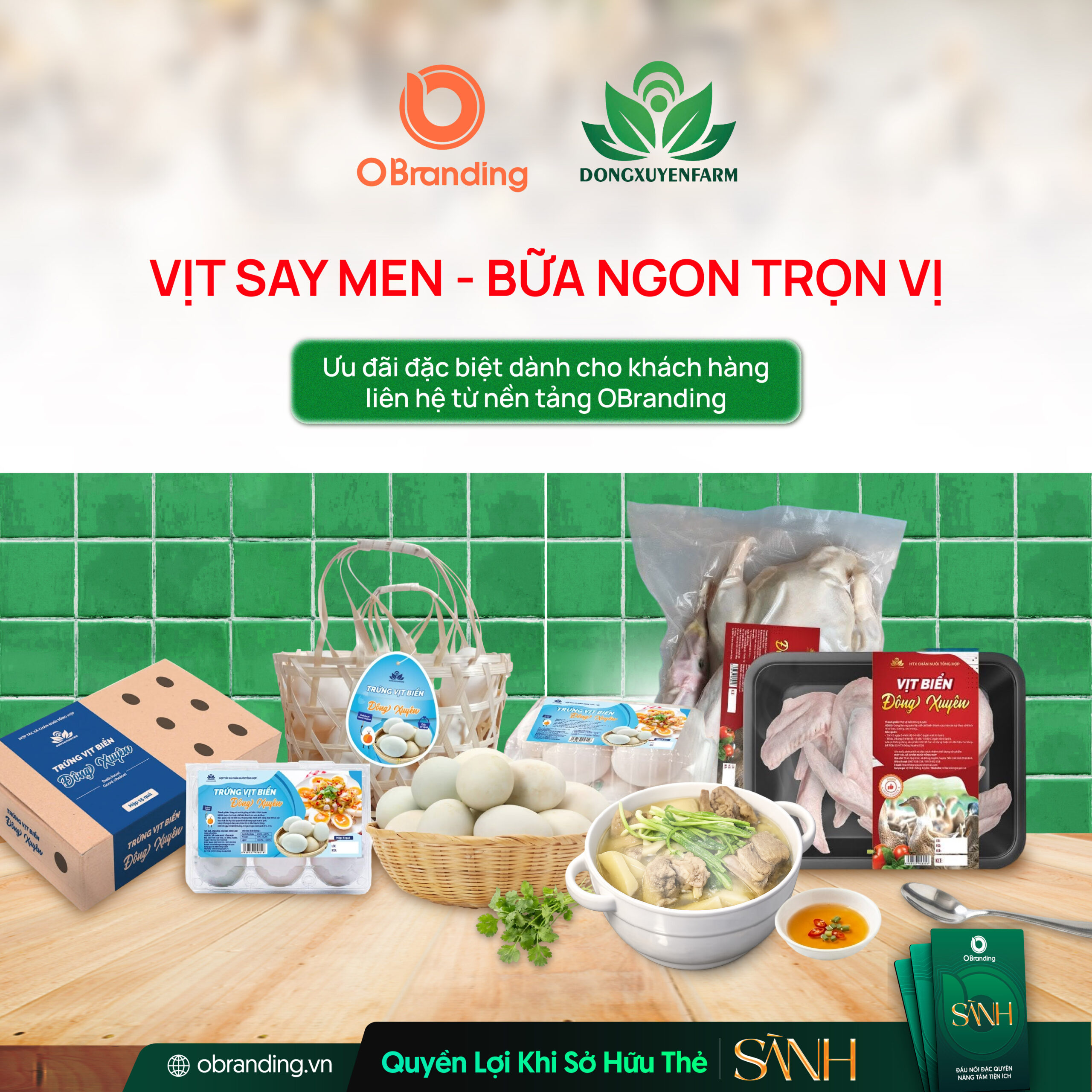 HỢP TÁC XÃ CHĂN NUÔI TỔNG HỢP